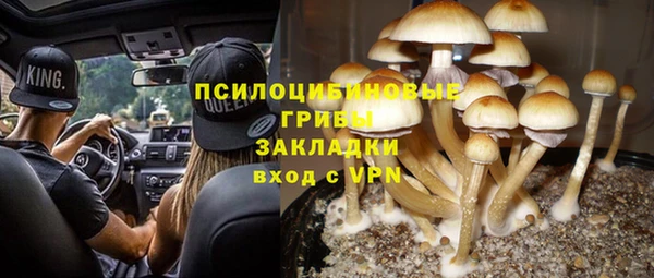 mdpv Надым