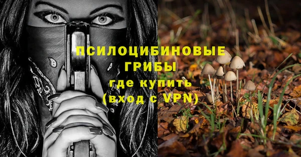 mdpv Надым