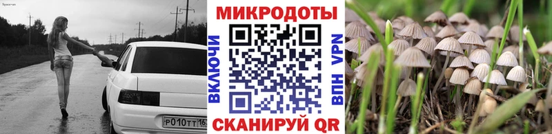 Псилоцибиновые грибы Psilocybe  hydra зеркало  Верещагино 